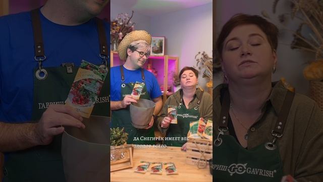 ГОРШЕЧНЫЕ ТОМАТЫ