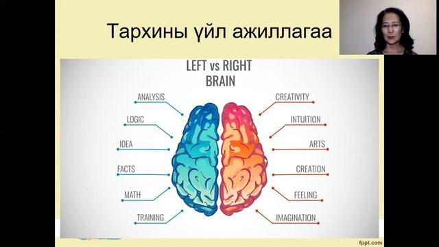 Бясалгал хийхэд тархины баруун, зүүн тал бөмбөлгийн аль нь идэвхждэг вэ? смотреть онлайн