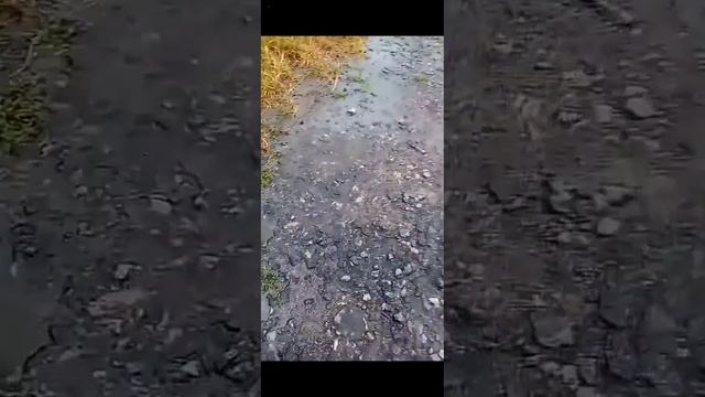 Электропередачи 750 КВ гудят провода с краю слободы возле села почапинцы и новоселица