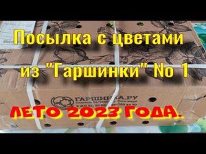 Посылка из Гаршинки № 1. Лето 2023 года.