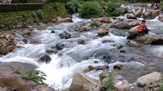 Rishikesh To Gangotri Dham 2021 | Full Tour Information By MSVlogger смотреть онлайн