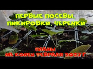 Посевы, черенки,  Планы на февраль 2023г.