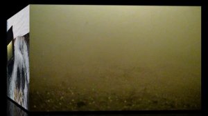 10-12-2024 Аргази