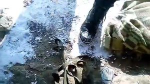 Спасение собак упавших в яму