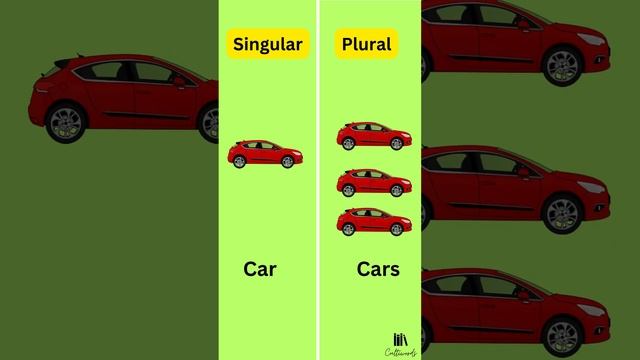 Singular and Plural #cultiwords #english #learnenglish  #grammar #englishforbeginners