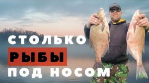 Раздача на Оке в черте города Поклевки леща и язя на фидер Голавль на сильном течении #Silver Fish