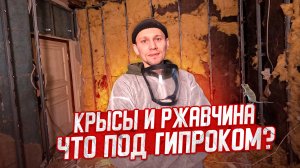 Восстанавливаю дом 1958г. Снял со стен гипрок: крысы, ржавчина, грибок...