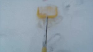 гуляю с лапкой.mp4