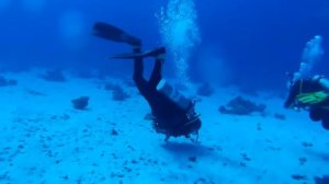 Peak Performance Buoyancy \ Hurghada