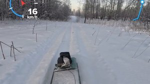 покатушка на мотособаке