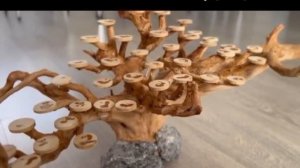 #бонсай для аквариума