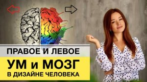 Левое и правое в Дизайн Человека. Что означают стрелки в карте?