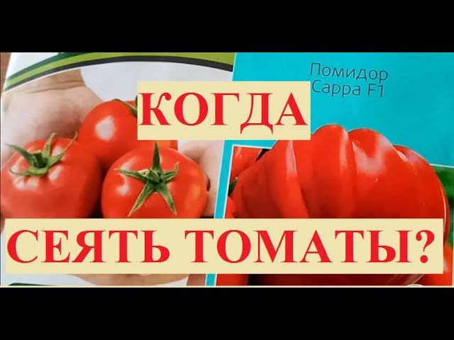 КОГДА СЕЯТЬ ПОМИДОРЫ (часть2)