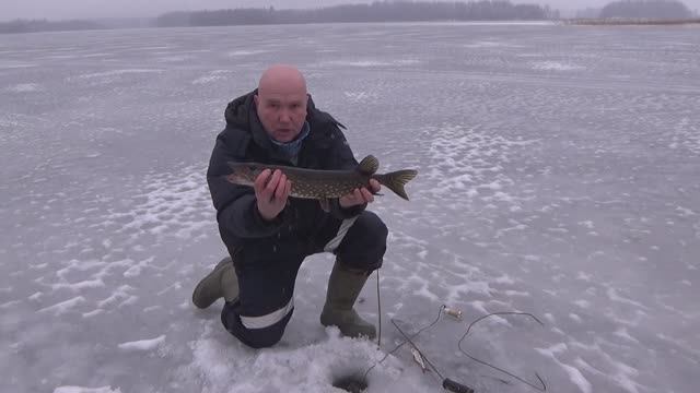 Поставушки -жерлицы. С праздником прекрасные дамы, в подарок- весенние зарисовки на Селигере.