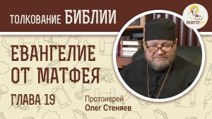 Евангелие от Матфея. Глава 19. Протоиерей Олег Стеняев. Толкование Библии. Толкование Нового Завета