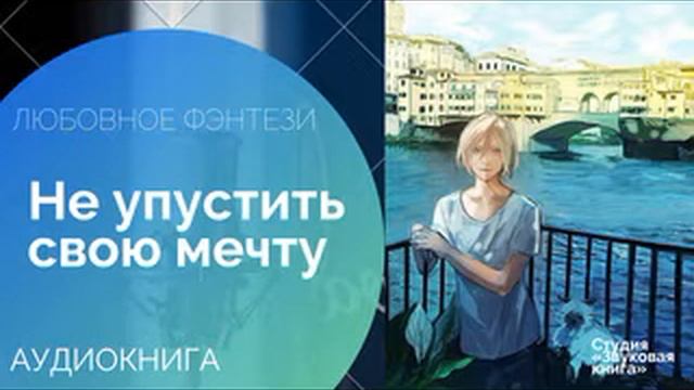 Не упустить свою мечту (АУДИОКНИГА) смотреть онлайн