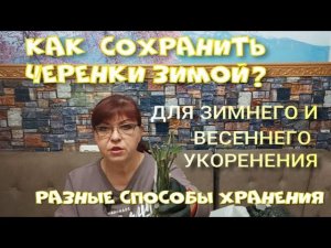 Как сохранить черенки зимой? Разные способы хранения черенков.