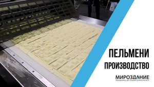 Пельменный аппарат. Производство пельменей (мясные подушечки). Пельменный цех