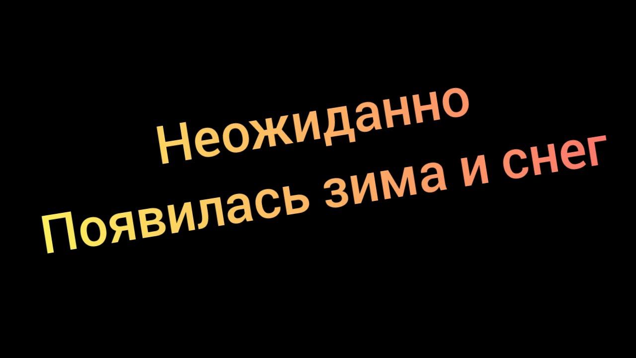 Зима. Снова Зима!!! Снег Весной!!! Запоздалая зима. Буран.