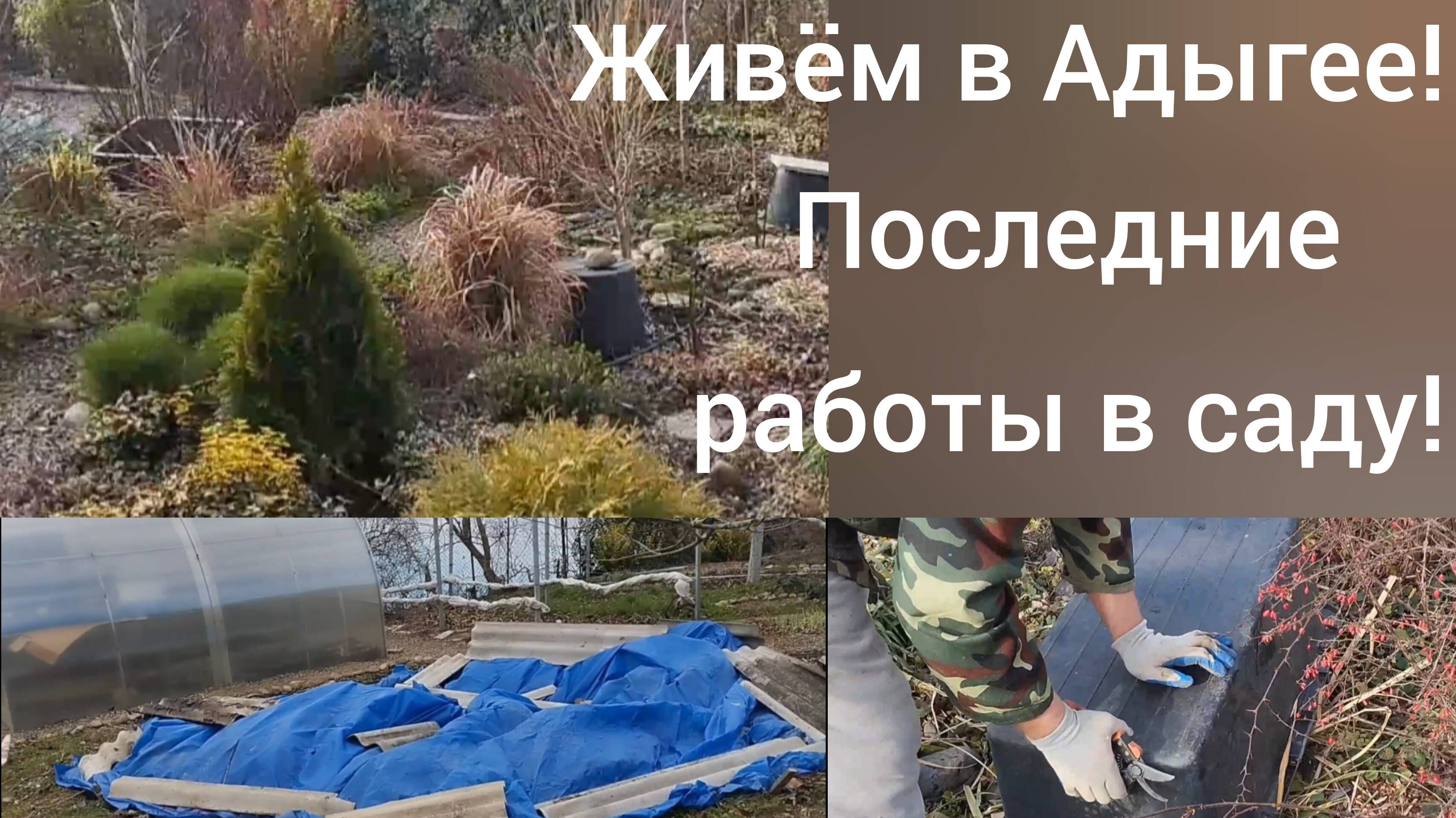Живем в Адыгее/Подготовка растений к зиме/Последние работы в нашем саду в этом году/ смотреть онлайн