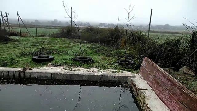 Рыбка в пруду.Доливаем воду. смотреть онлайн