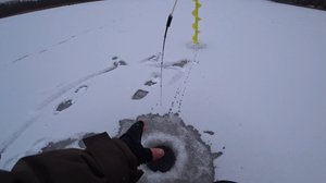 Окунь на безнасадку! Ловлю здесь впервые!