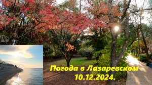 Погода в Лазаревском 10.12.2024. 🌴ЛАЗАРЕВСКОЕ СЕГОДНЯ🌴СОЧИ.