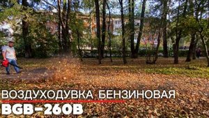 Воздуходувка бензиновая BGB-260B