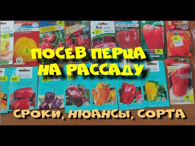 ПОСЕВ ПЕРЦА 2024г.