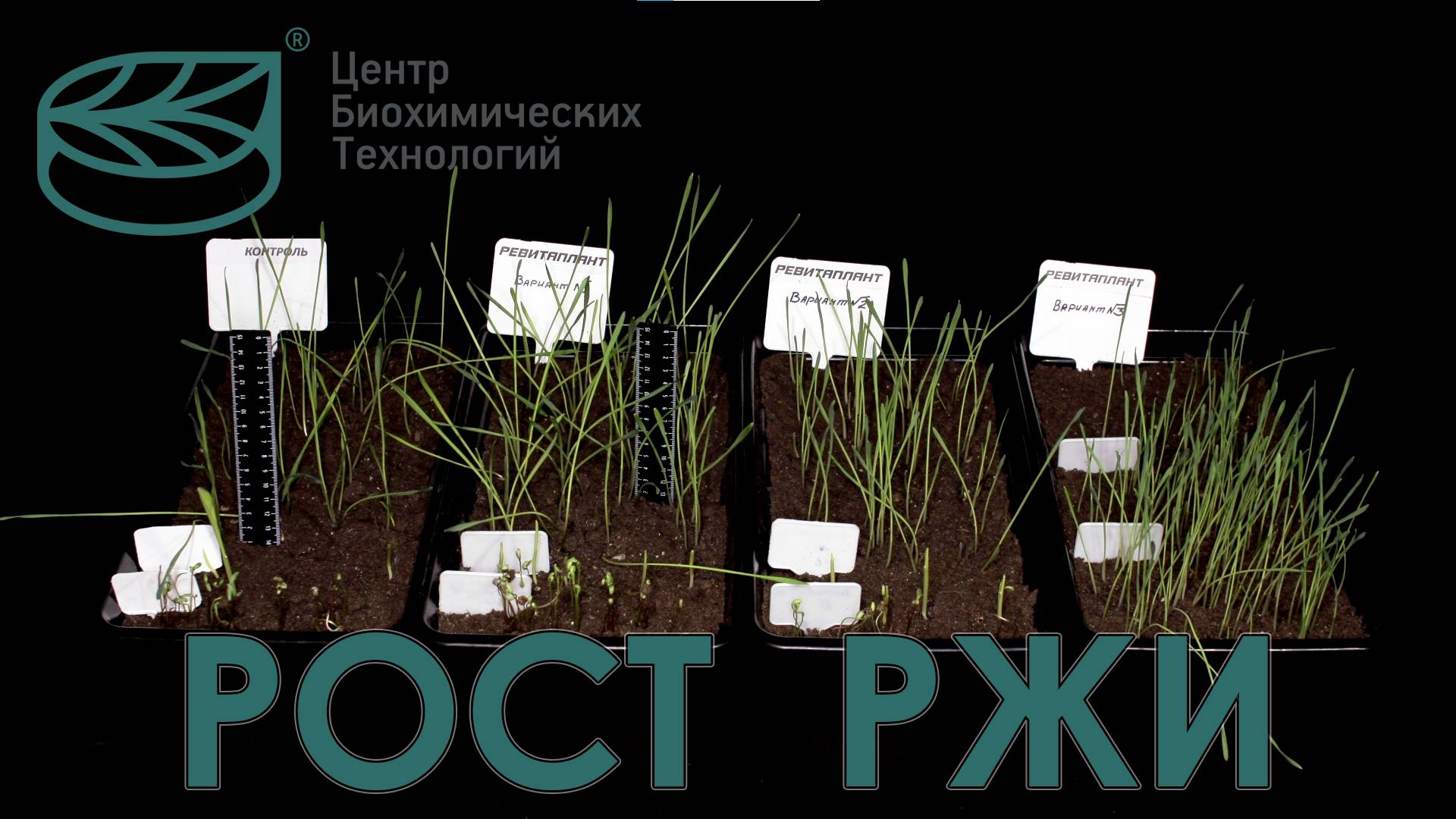 Эксперемент или