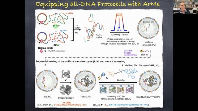 Build-a-Cell seminar Thomas R. Ward: Artificial Metalloenzymes for New-To-Nature Metabolism смотреть онлайн