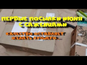 Первые посылки июня с саженцами. Настроение ухудшается.