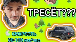 КРЕЙСЕРСКАЯ СКОРОСТЬ на лада НИВА урбан / lada NIVA legend