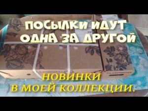 Посылки с саженцами идут одна за одной.