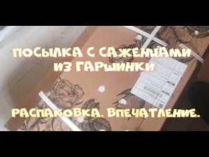 ПЕРВАЯ ПОСЫЛКА 2024 ИЗ ГАРШИНКИ...