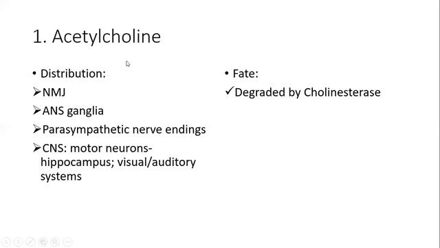 Introduction Neuroanatomy 3 Synapse & Neuroglia