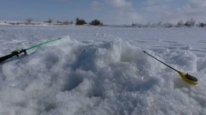 В этой лунке не важна какая приманка! Клюёт только отпусти. Зимняя рыбалка