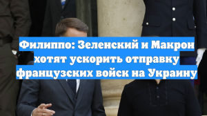 Филиппо: Зеленский и Макрон хотят ускорить отправку французских войск на Украину