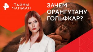 Зачем орангутану гольфкар? — Тайны Чапман (26.06.2024)