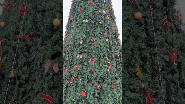 Белгород-парк берега поставили такую красивую ёлочку.