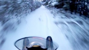 покатушки на снегоходе Динго 150