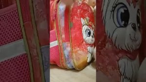 наш вечер с уточкой Соней. влог🌆