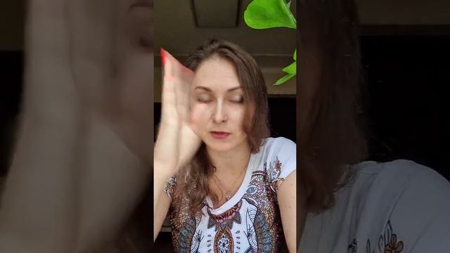 А. Палиенко и Николь Кустовская / Мета-анализ отношений