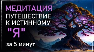 МЕДИТАЦИЯ Путешествие к Истинному Я: Просветление за 5 минут. Альбасавуа