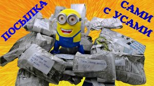 Посылка от подписчика Стаса Лысенко