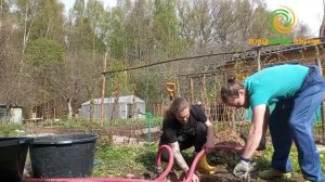 Скважина или колодец? // Абиссинский родник на даче