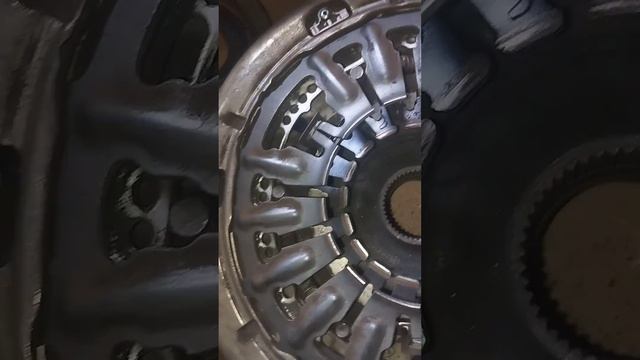 Китайское сцепление Китайское сцепление