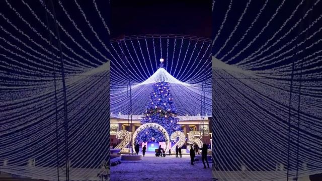 🎄 Красавица-ёлка в парке Горького

#Москва