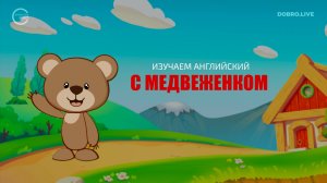 Ответ акуленку Baby Shark из Чувашии