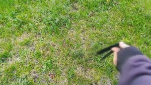 Делаю анимацию бабочки из standoff 2      Оцените пожалуйста от нуля до десяти 🤗